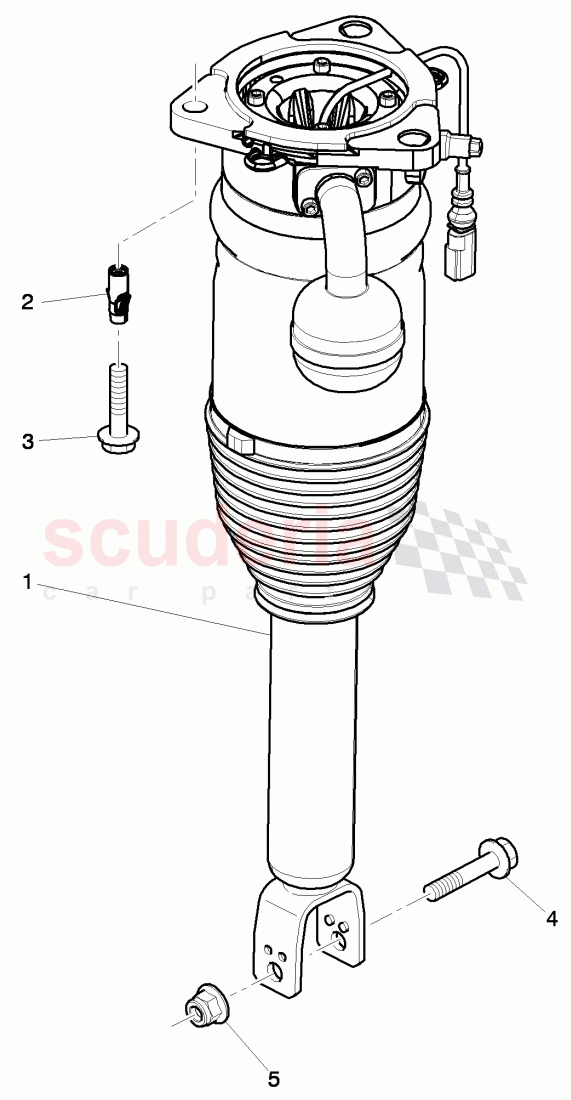 suspension strut, complete of Bentley Bentley Continental GTC (2011+)