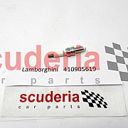 Spark Plug for 