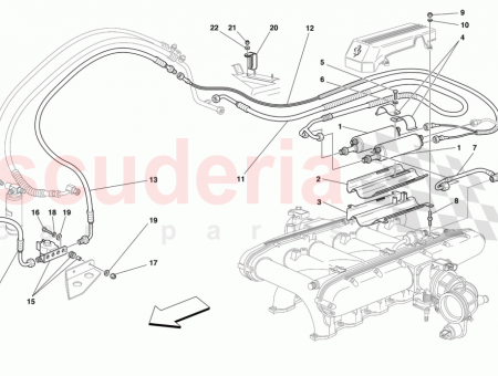 Photo of LOWER PLATE…