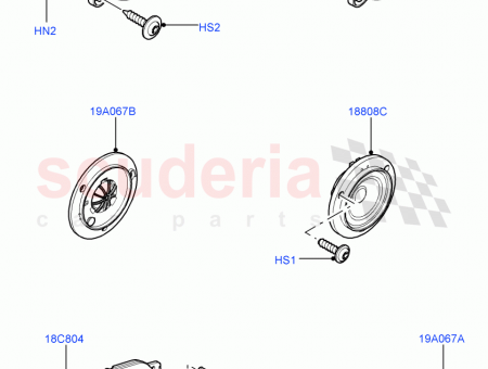 Photo of SCREW…