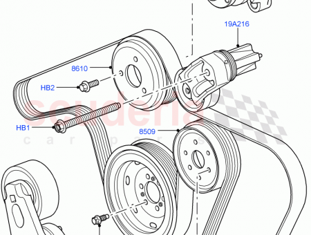 Photo of BELT…