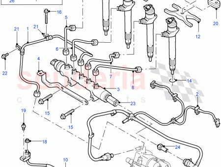 Photo of SCREW…