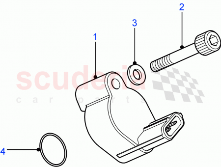 Photo of SCREW…