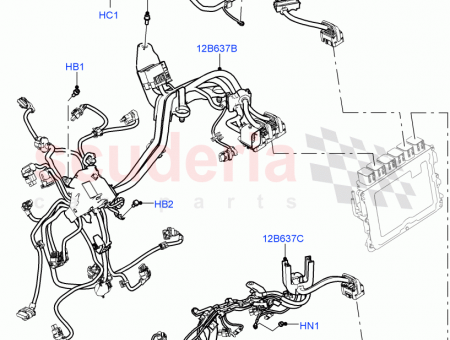 Photo of WIRING…