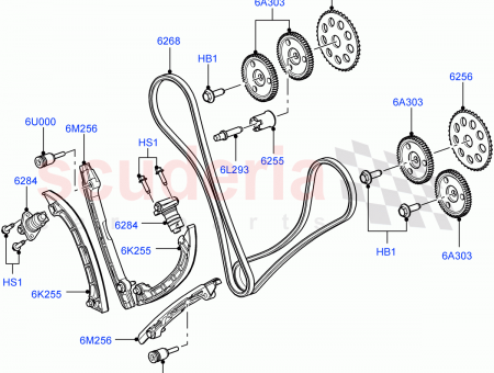 Photo of CHAIN TIMING…